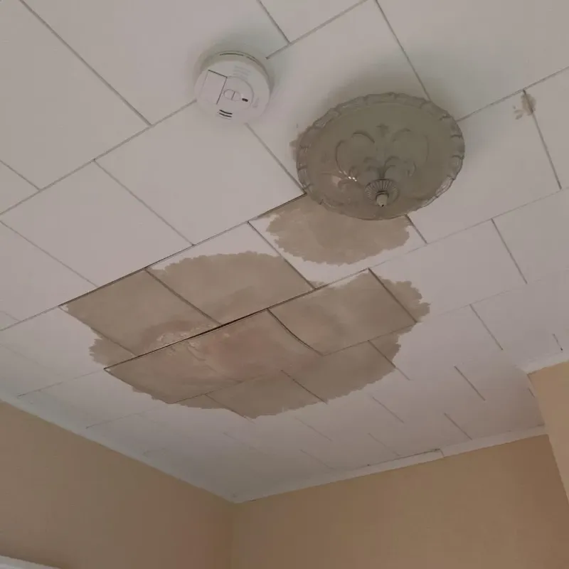 Ceiling Water Damage Repair in Ridge, NY