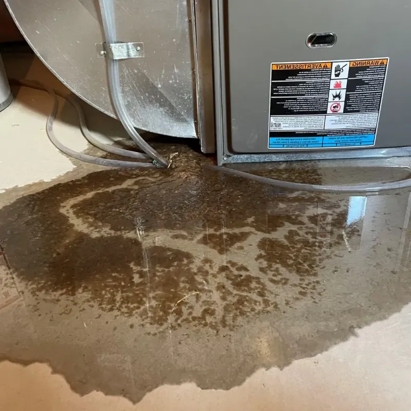 Pipe Burst and Leak Restoration in Ridge, NY